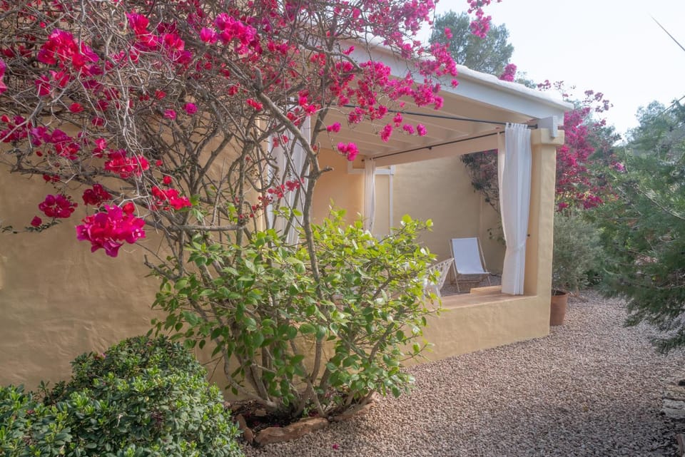 Bungalows Casa Amarilla Apartment in Formentera