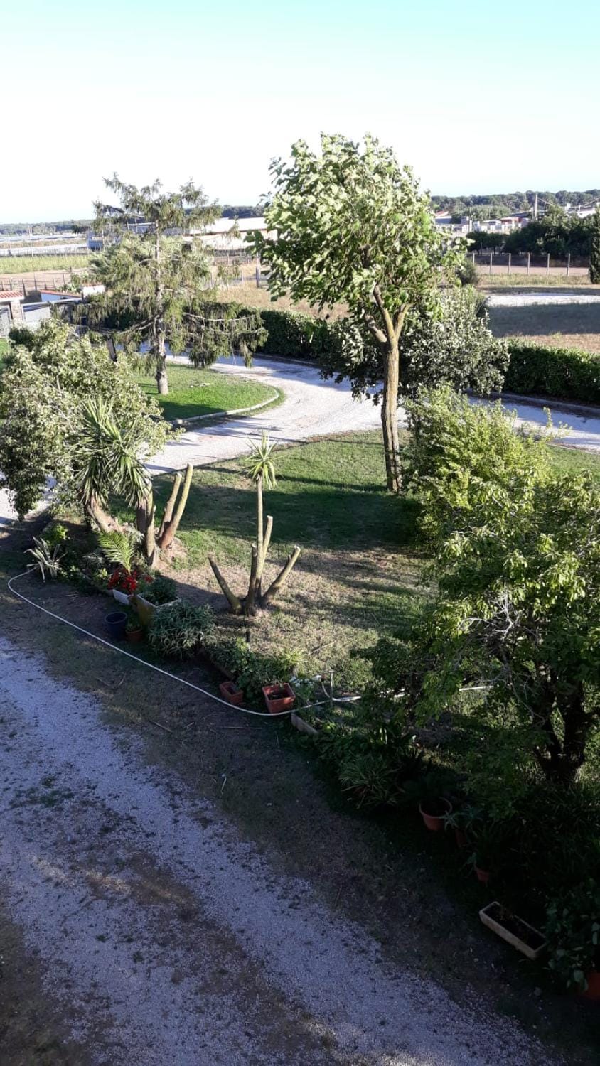 Garden, Garden view