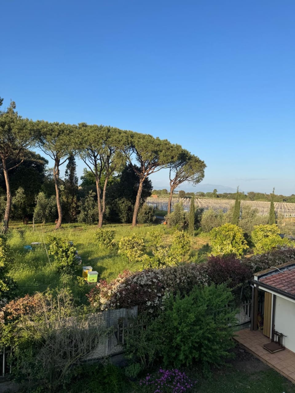 View (from property/room)