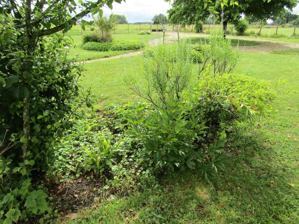 Gîte confortable avec grand jardin privé et WIFI - FR-1-381-494 House in Centre-Val de Loire