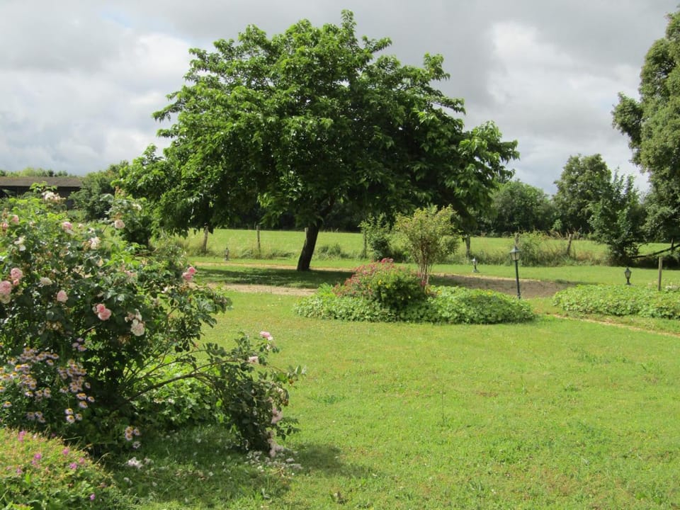 Gîte confortable avec grand jardin privé et WIFI - FR-1-381-494 House in Centre-Val de Loire