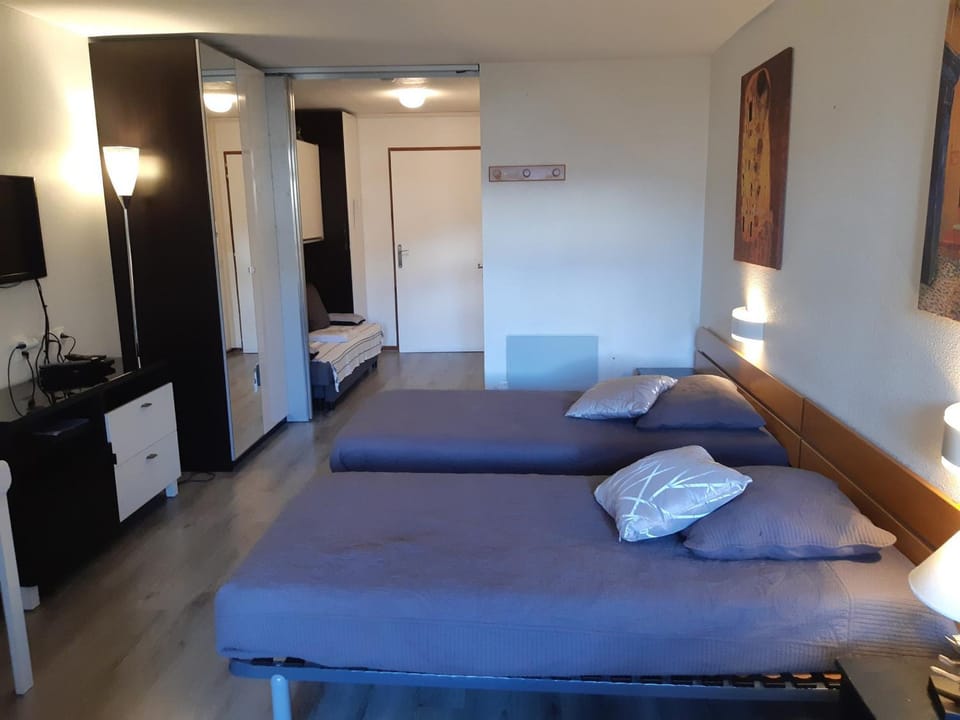 Studio confortable 28m², 4 pers, animaux admis, parking, wifi - FR-1-512-149 Apartment in Auvergne-Rhône-Alpes