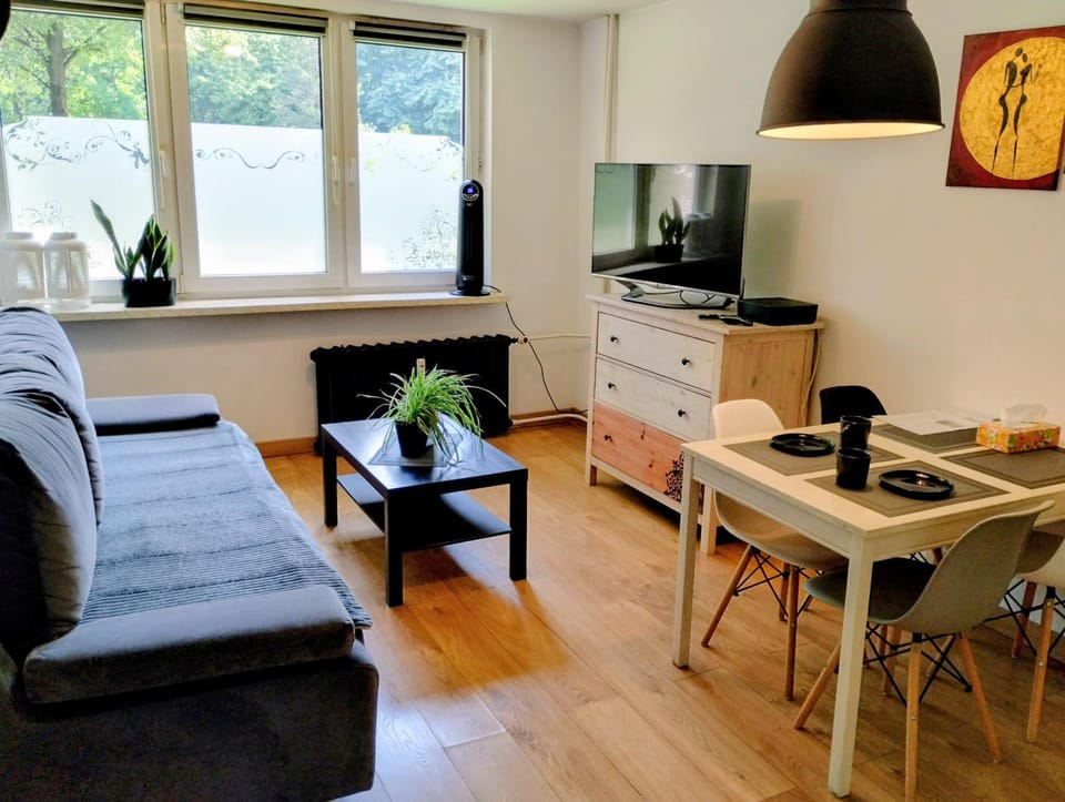 TV and multimedia, Living room, Seating area, Evening entertainment
