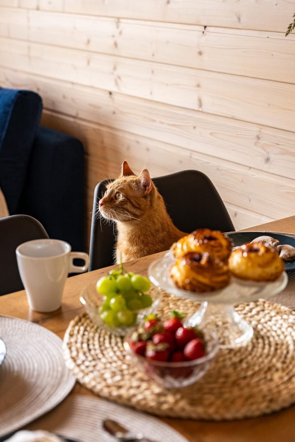 Living room, Seating area, Pets