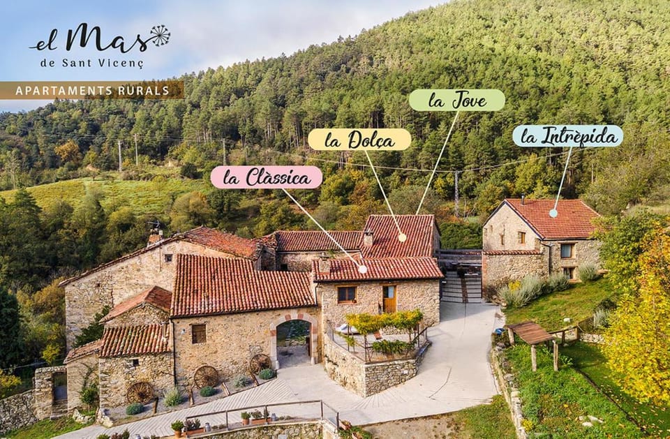 El Mas de Sant Vicenç - apartamentos rurales Apartment in Cerdanya