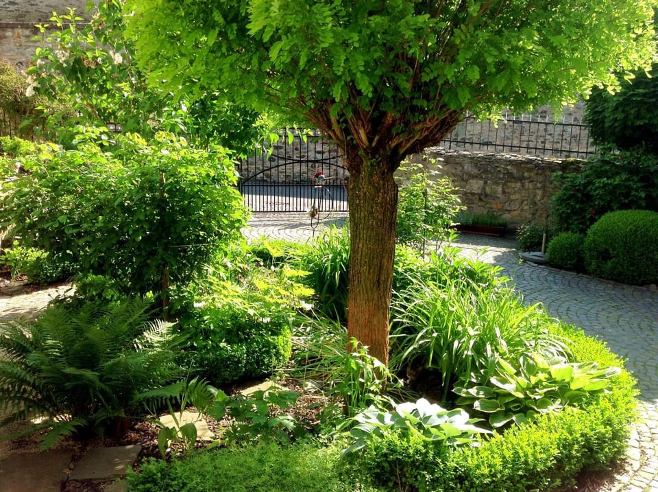 Spring, Day, Garden, Balcony/Terrace