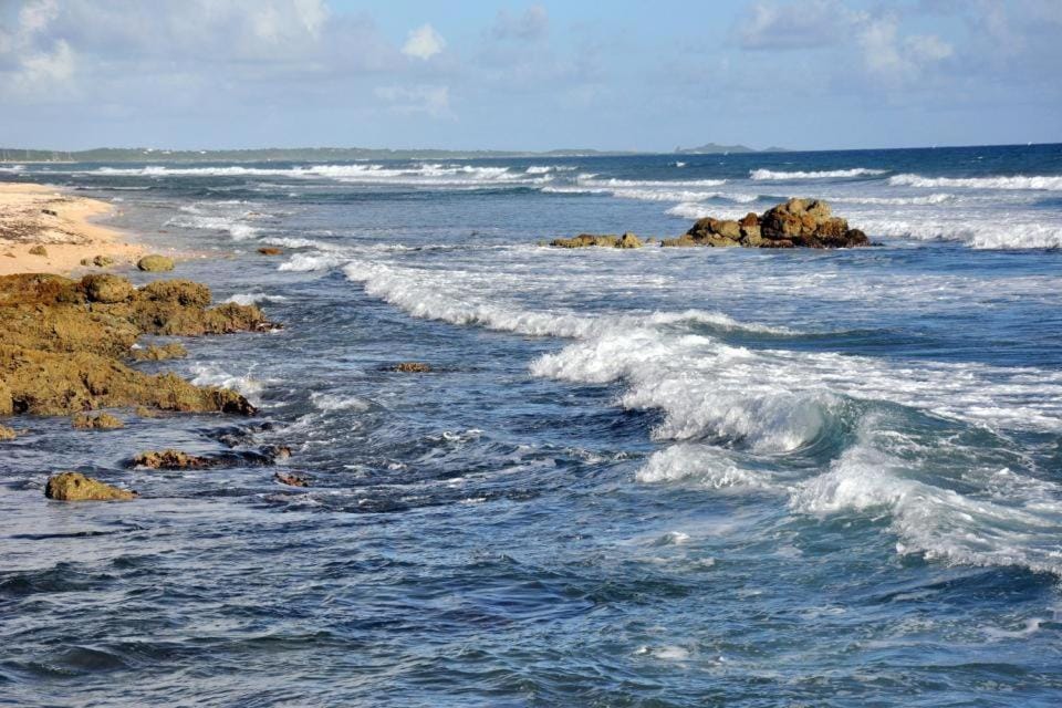 Studio la petite Améthyste Apartment in Grande-Terre, Guadeloupe