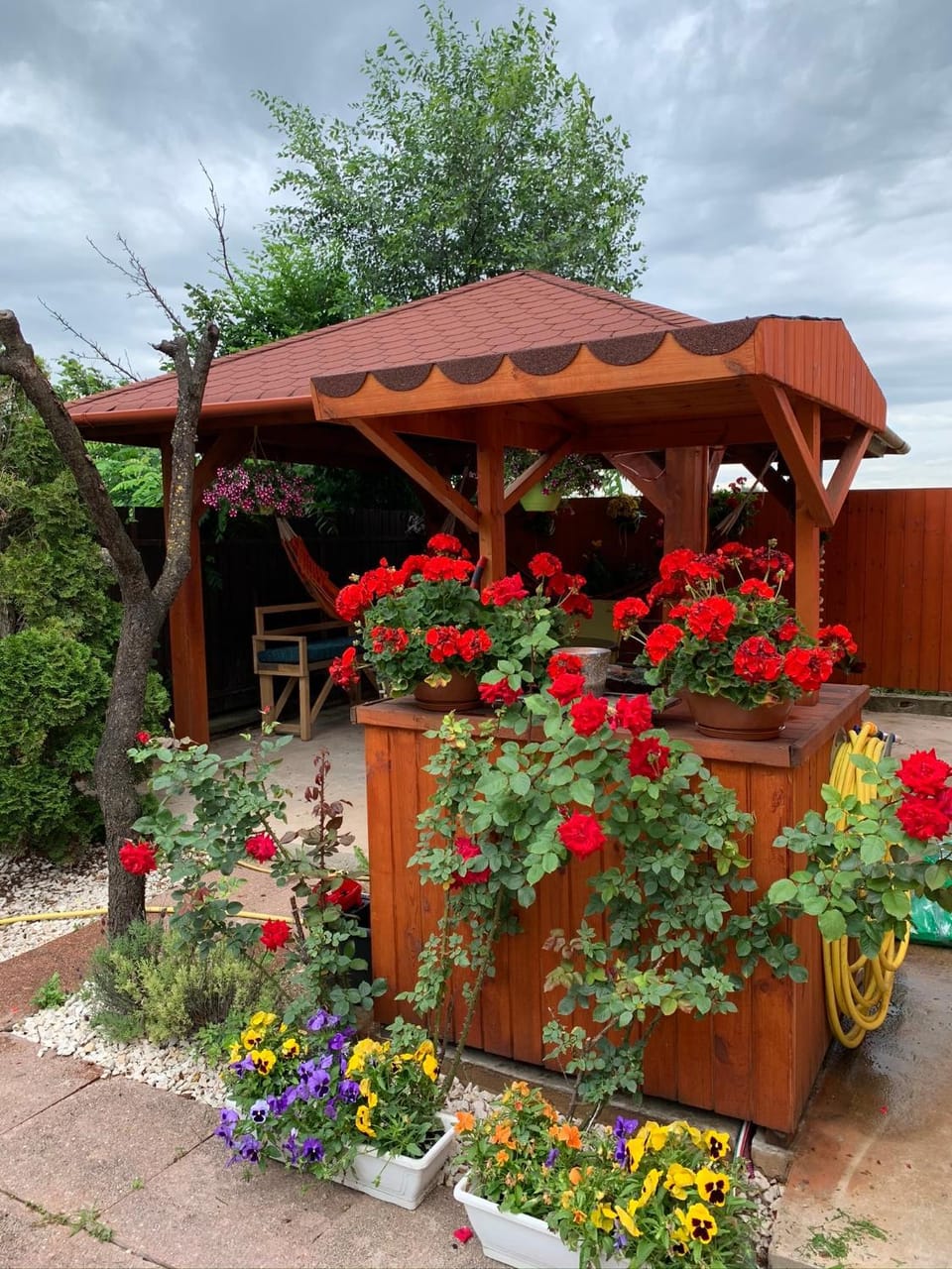 Garden view