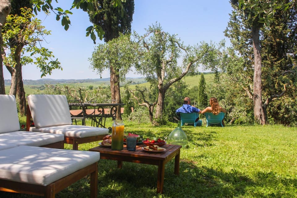 Spring, Day, Natural landscape, Garden, Garden view, sunbed
