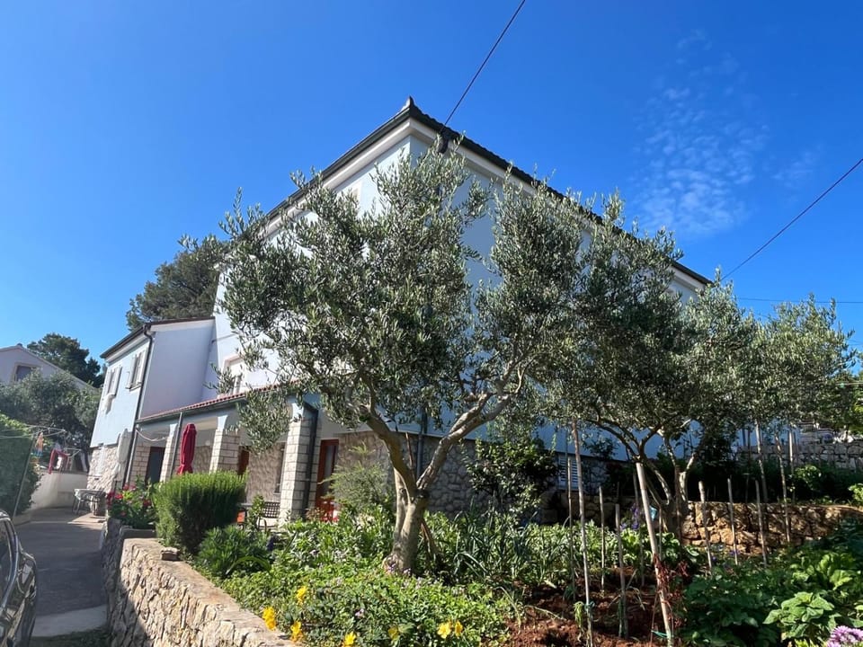 Kuća Luce-Apartman br.1 Apartment in Mali Losinj