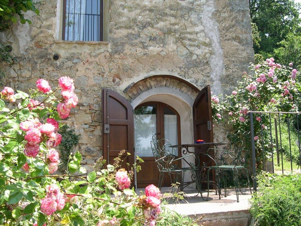 Patio, Garden