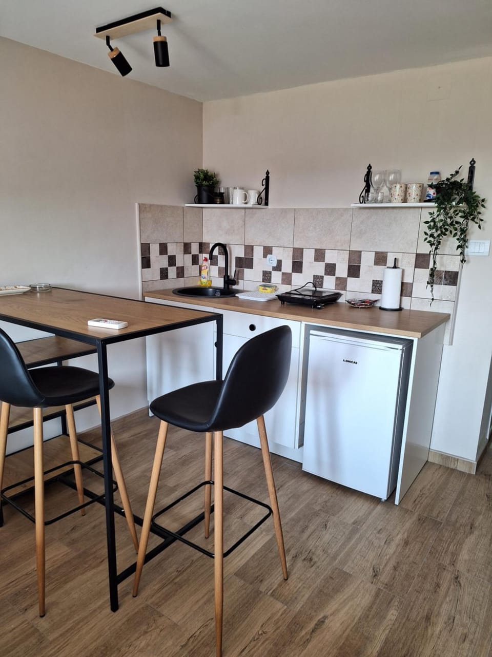 Studio M Apartment in Serbia