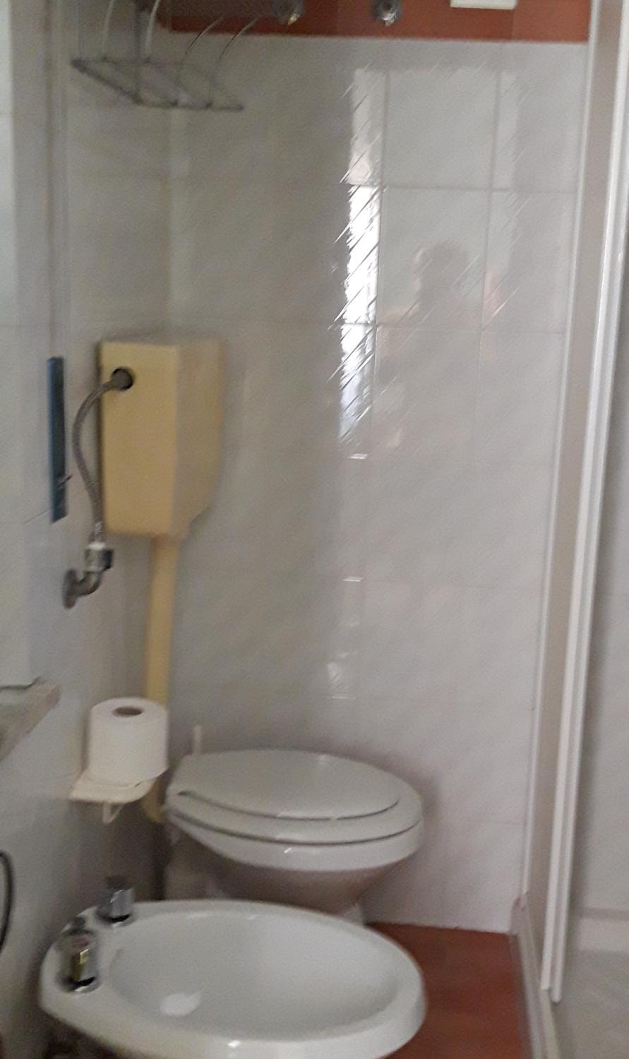 Toilet, Bathroom, bidet