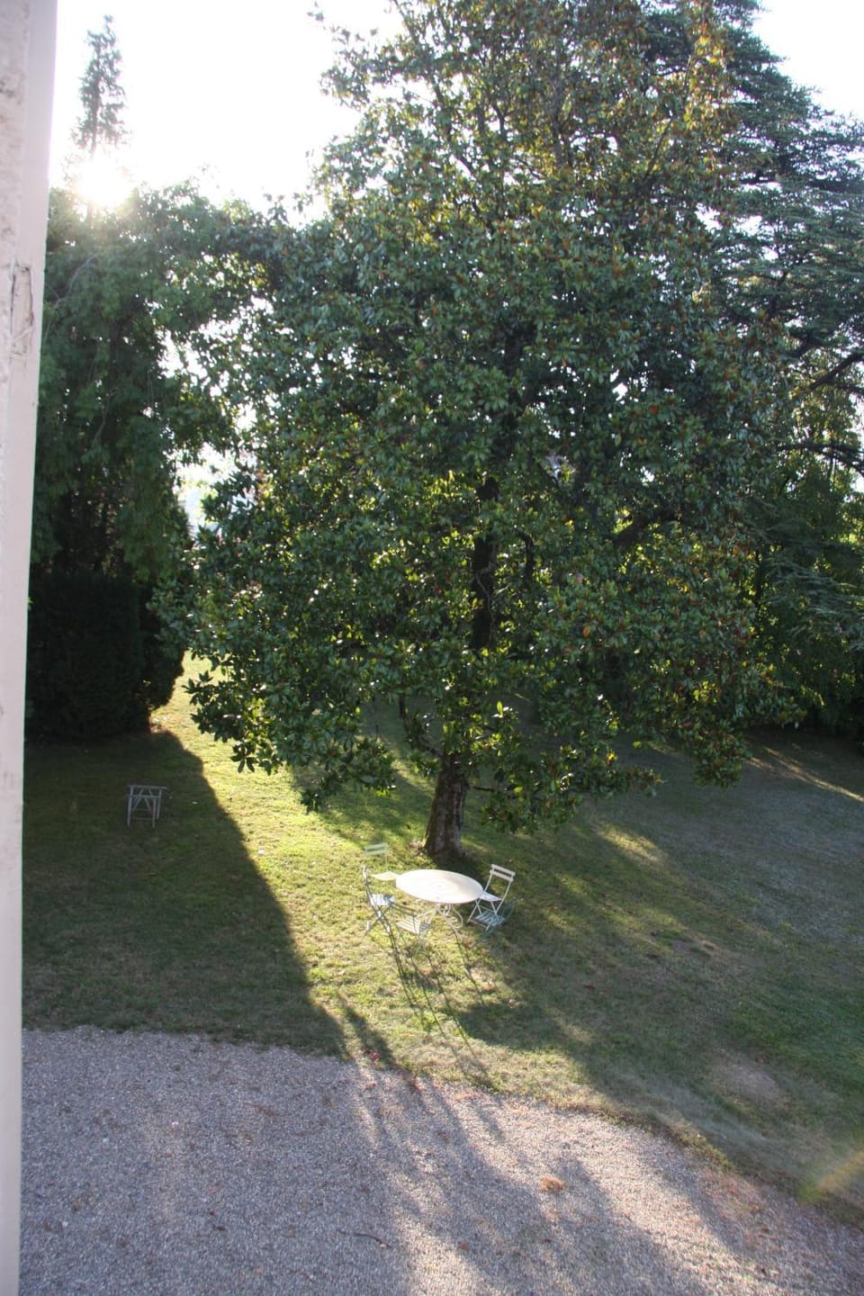 Garden view