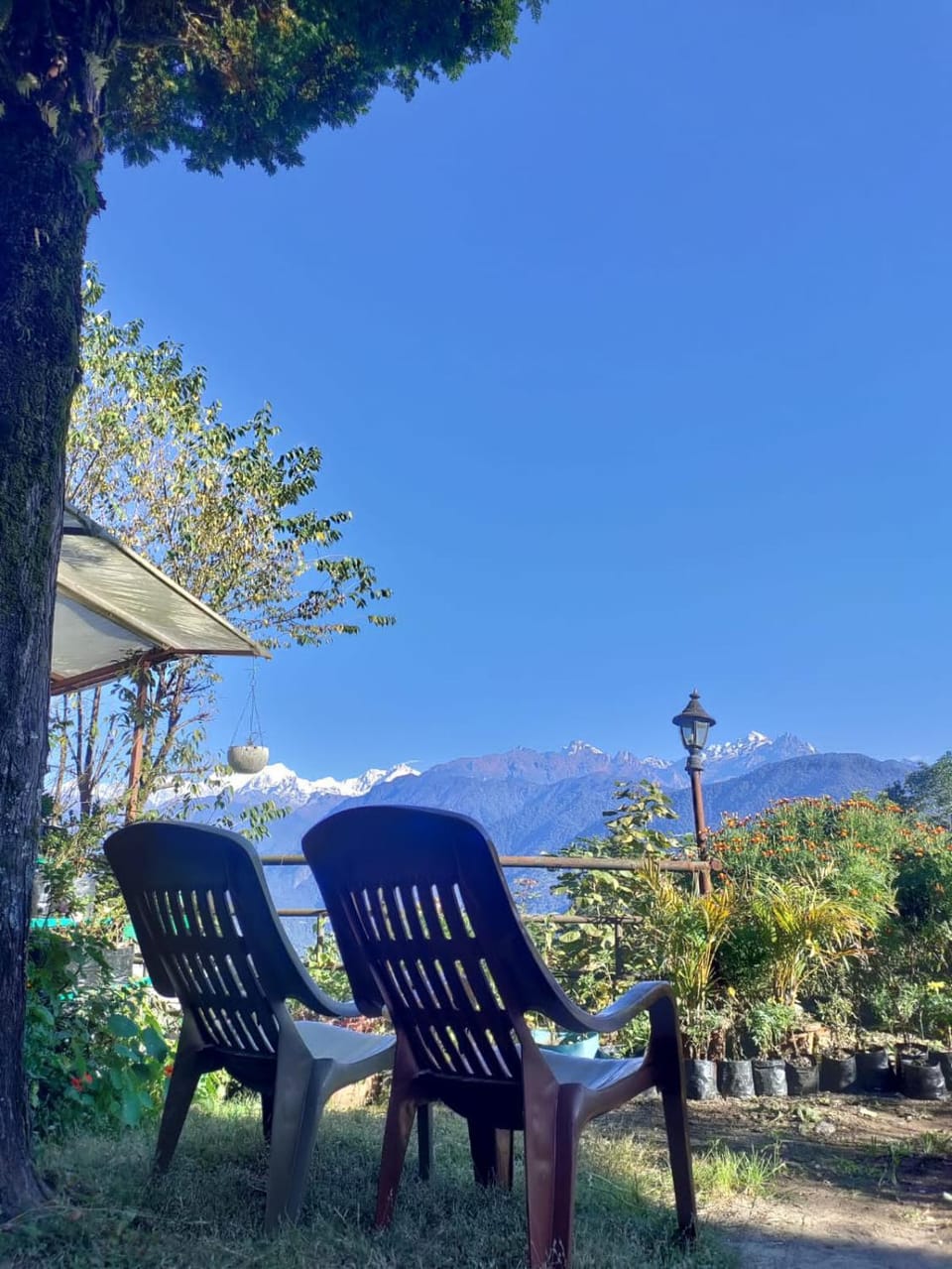 Garden, Garden view