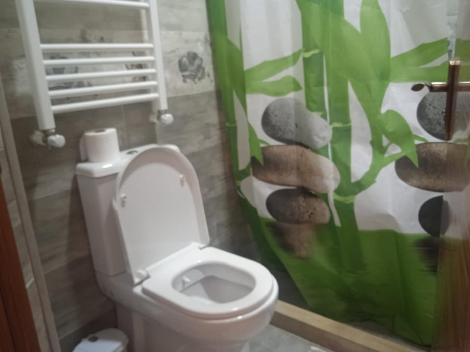 Toilet, Bathroom