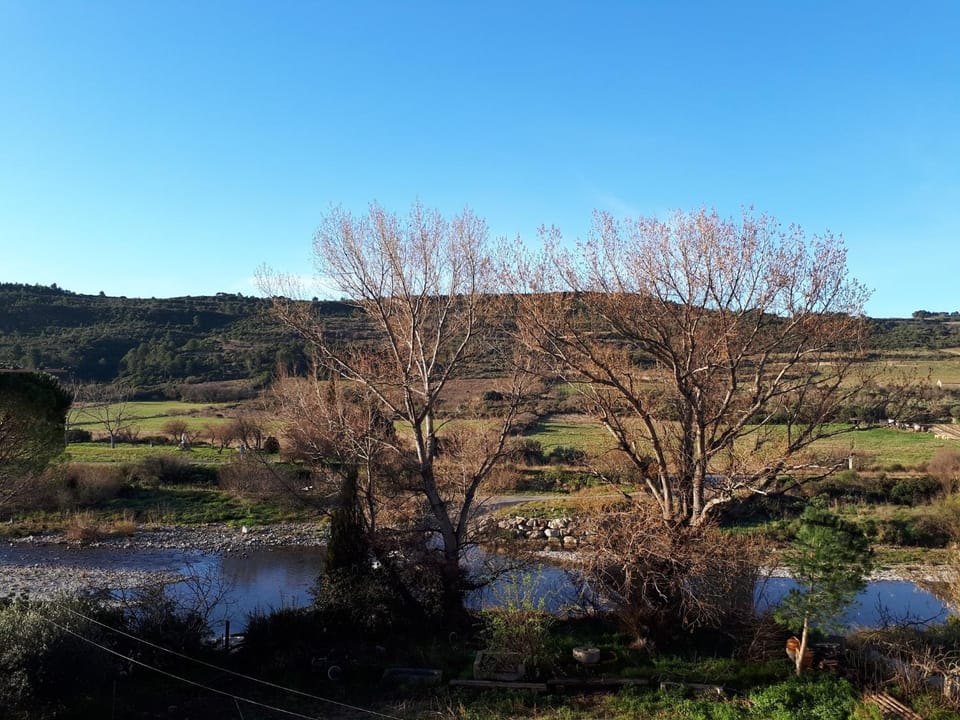 Natural landscape, River view