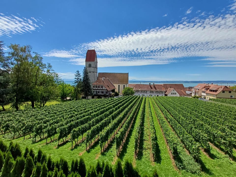 Gästehaus Ainser Inn in Hagnau am Bodensee