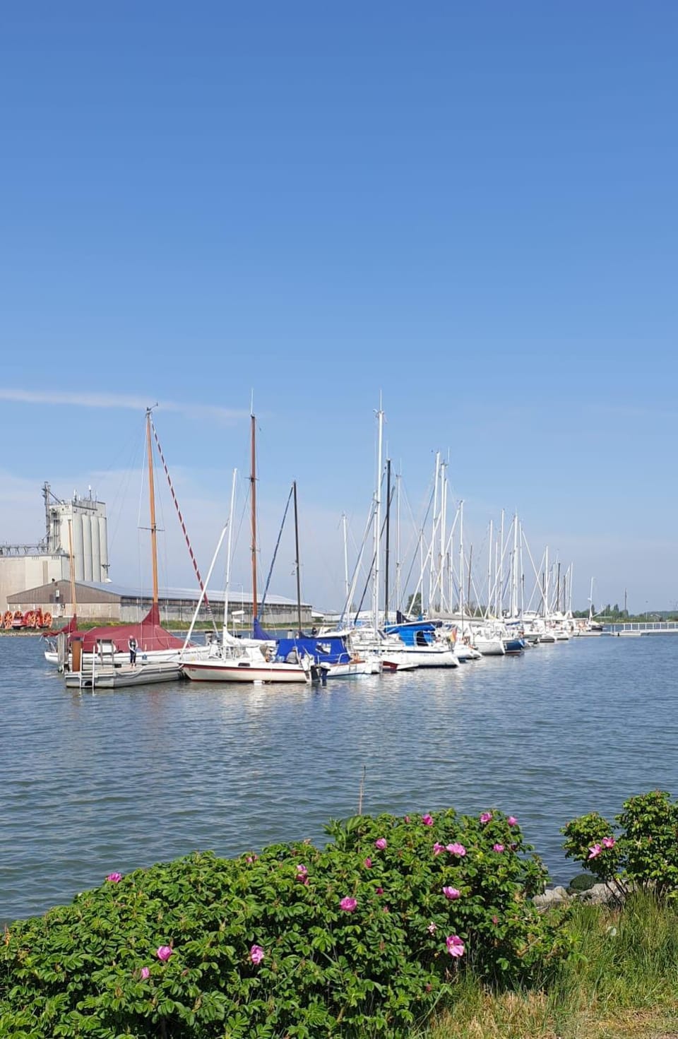 Hotel Garni Haus Dithmarschen Bed and Breakfast in Schleswig-Holstein