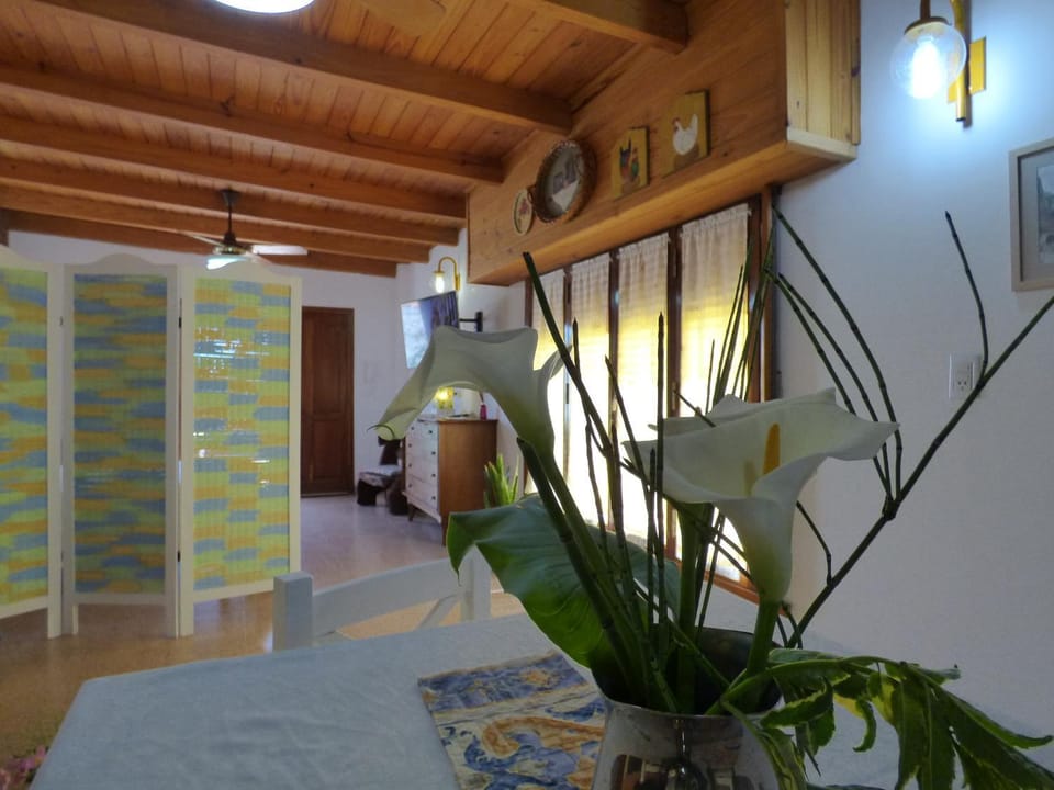 Oasis Cochera opcional Apartment in Bahía Blanca