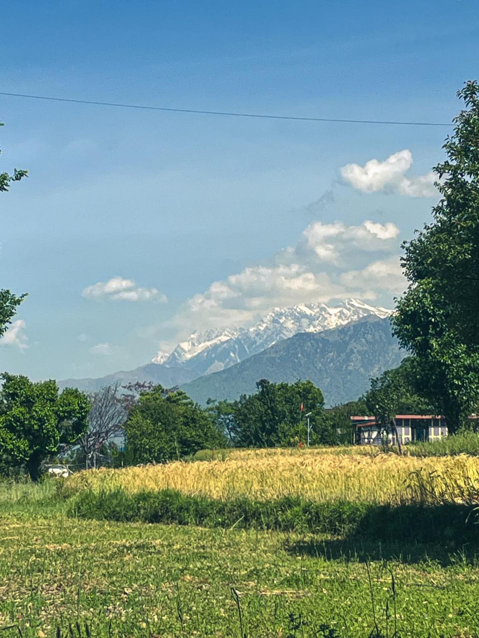 Mountain view