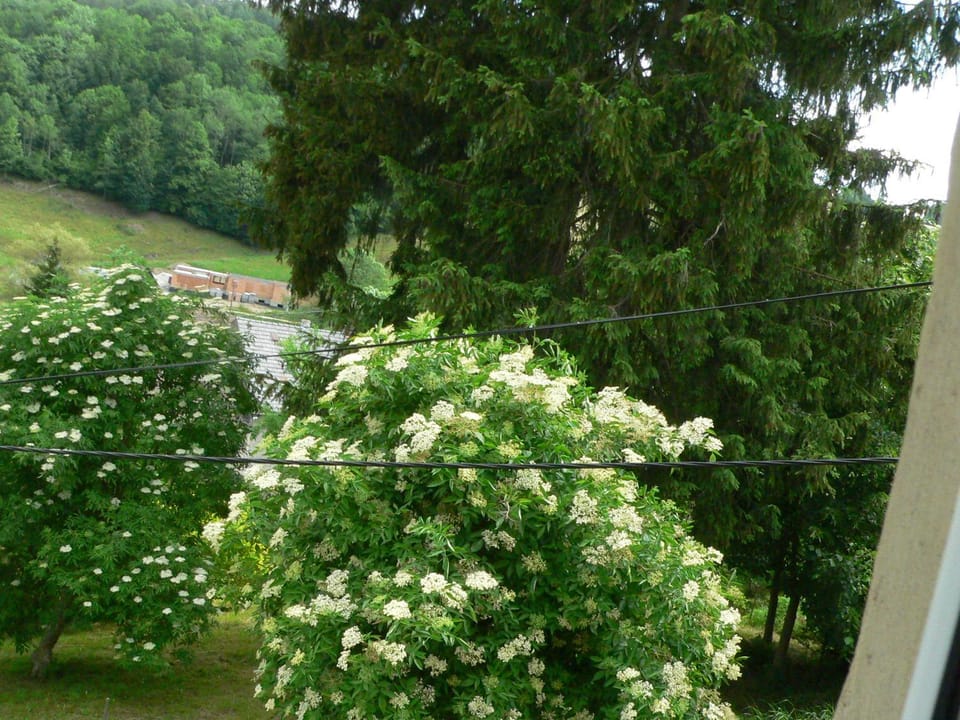 STARA PLEBANIA Farm Stay in Lower Silesian Voivodeship