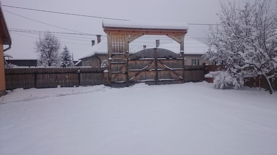 Winter