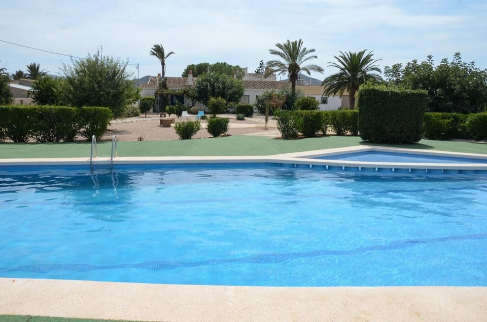Garden, Pool view, Swimming pool