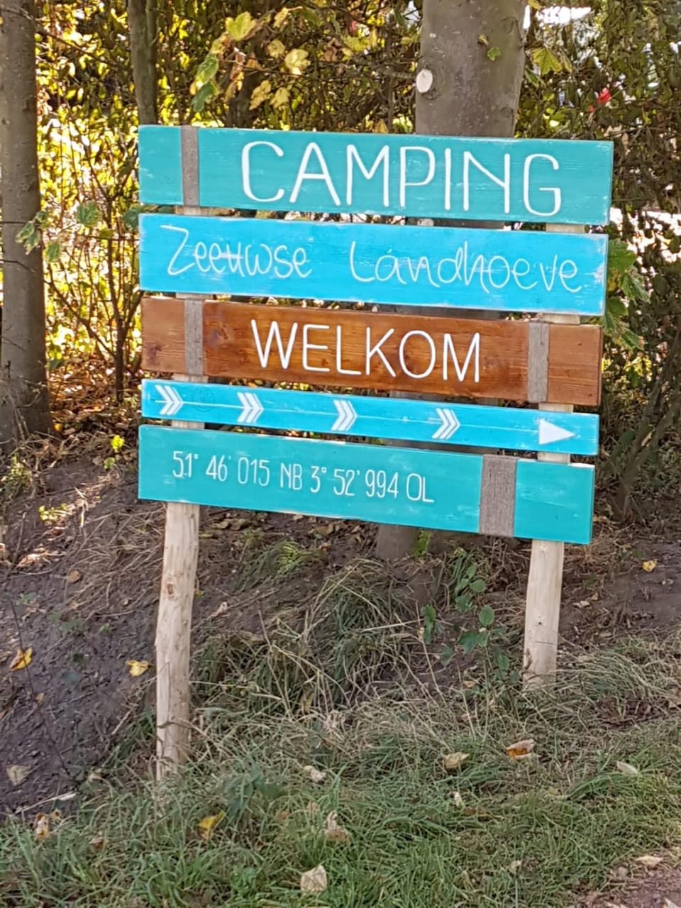 Logo/Certificate/Sign