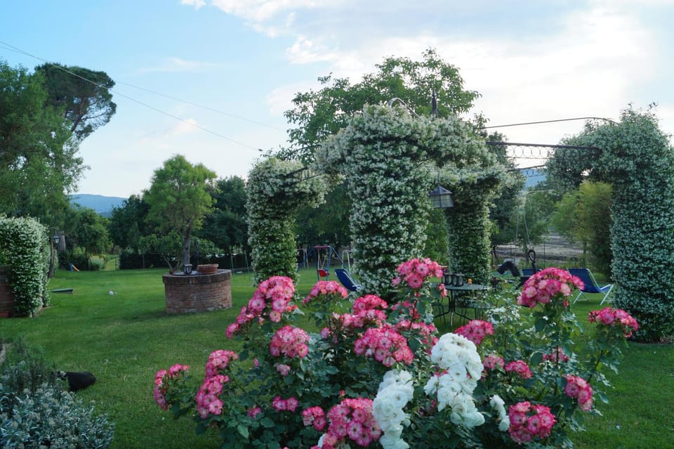 Spring, Summer, On site