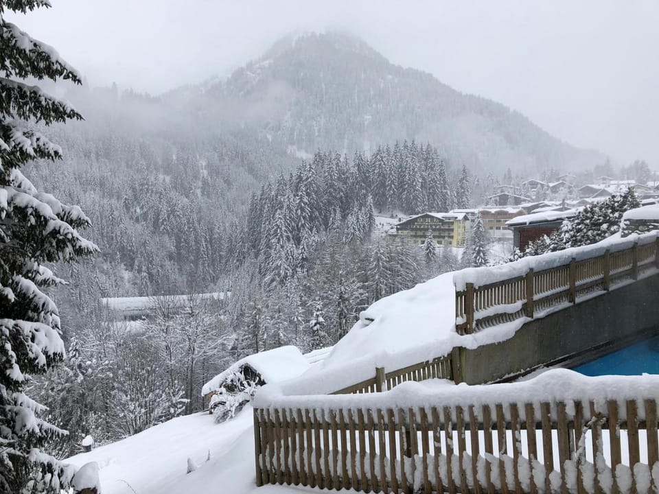 Winter, Mountain view