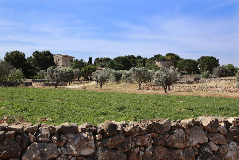 Natural landscape, Garden, Garden view