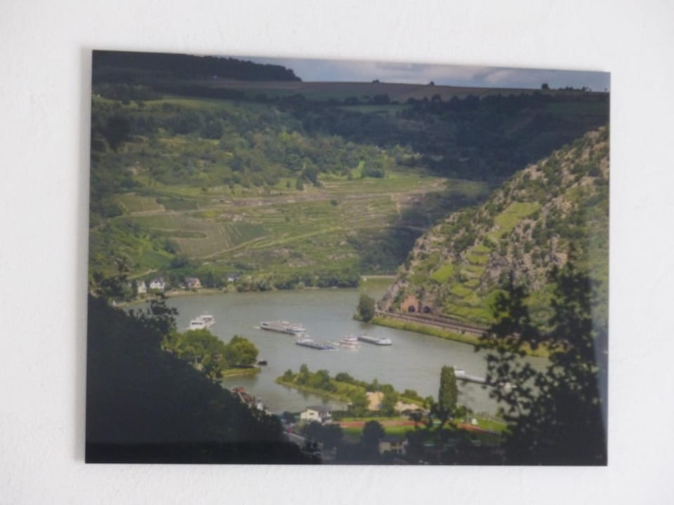 Natural landscape