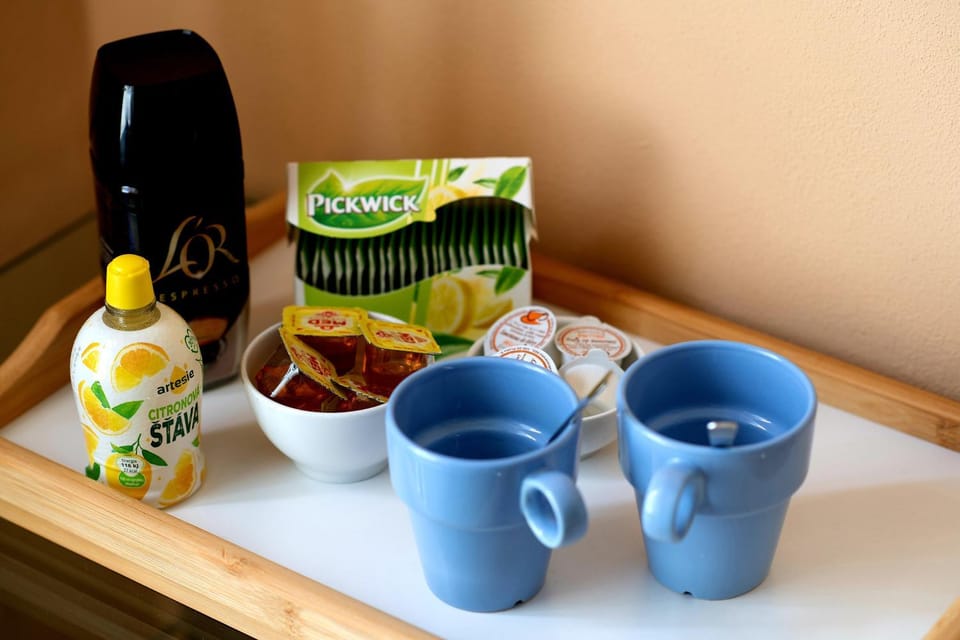 Cozy room at metro station, private bathroom, 9minutes oldtown, 15minutes airport, WiFi Vacation rental in Prague