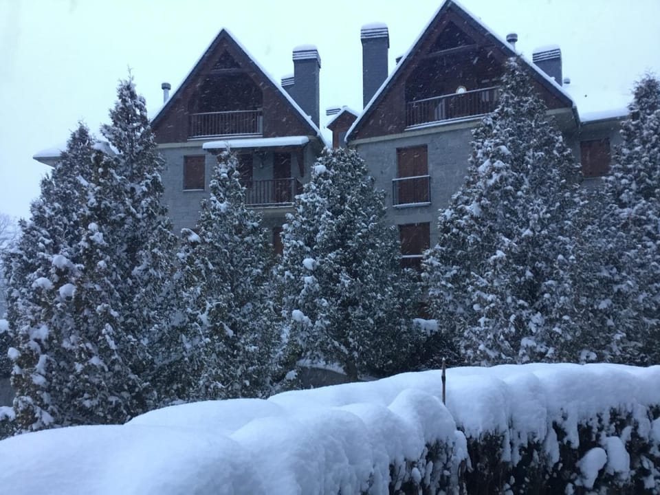 Winter