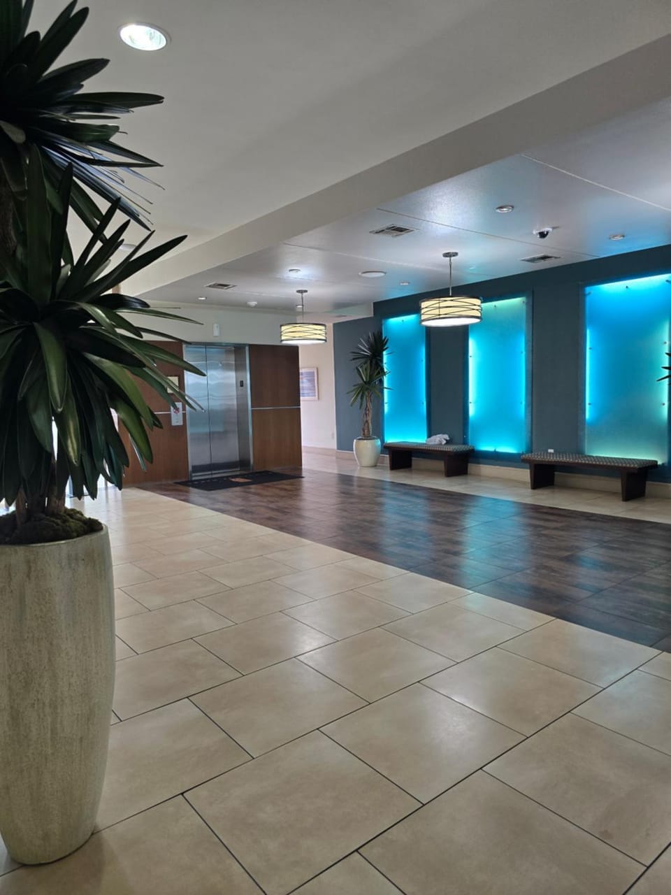 Domain at Kirby Apartment in Houston