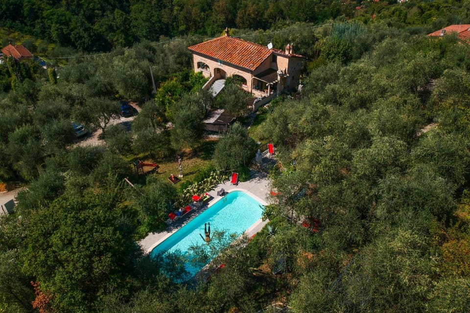Natural landscape, Bird's eye view, View (from property/room), Garden view, Pool view, Swimming pool