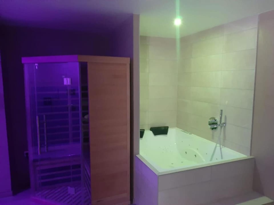Nid à bulles - Loft 35m2 sauna jacuzzi 10min centre Strasbourg Apartment in Strasbourg