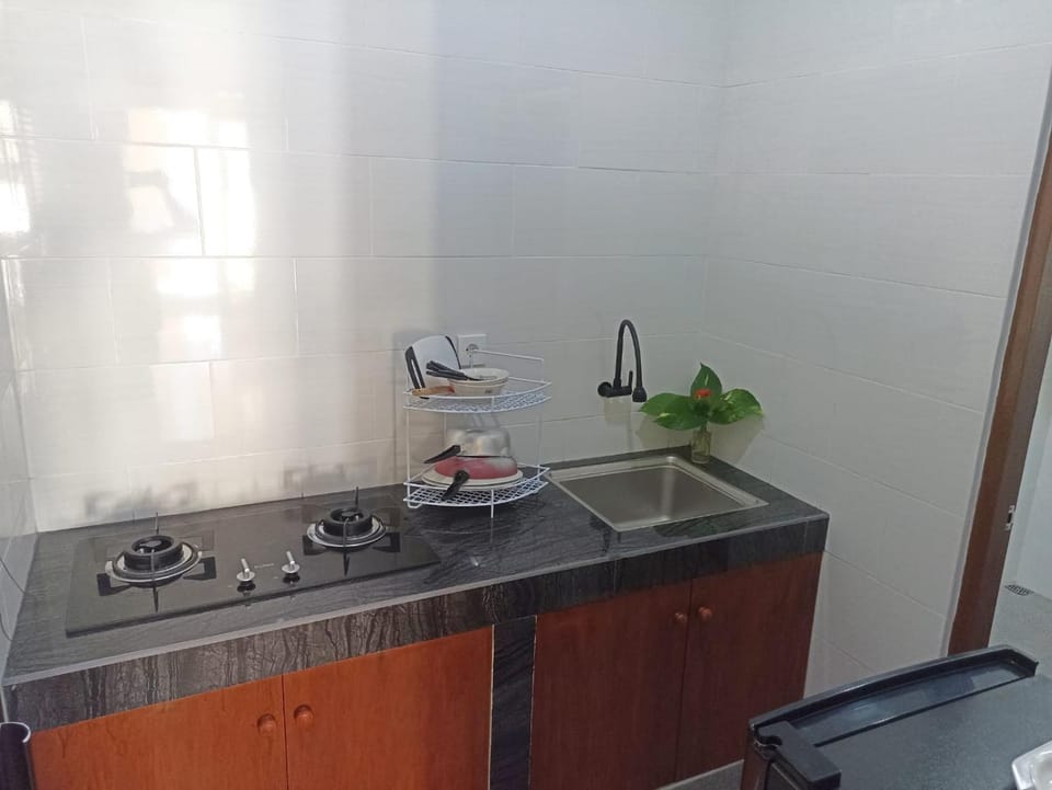 Kitchen or kitchenette, kitchen