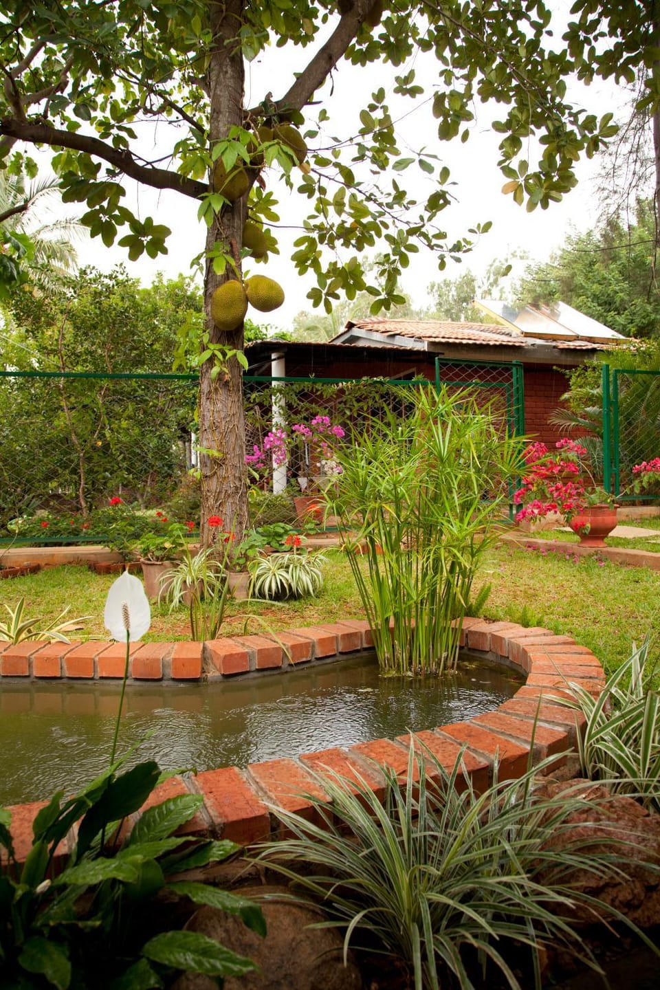 Garden, Garden view