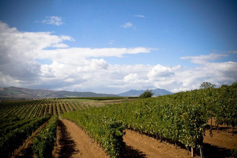 Activities, Billiard, Children play ground, Darts, Fishing, Golfcourse, Horse-riding, Minigolf, Table tennis, Aqua park, Tennis court, Hiking, Cycling, Evening entertainment, Sports, Entertainment