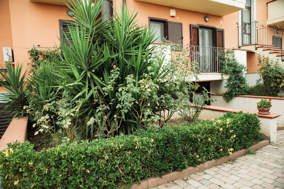 Property building, Patio, Facade/entrance, Activities, Fishing, Garden, Horse-riding, Table tennis, View (from property/room), Other, Decorative detail, Floor plan, Aqua park, Tennis court, Hiking, Cycling, City view, Garden view, Landmark view, Mountain view, Pool view, Street view, Area and facilities, Sports, Entertainment