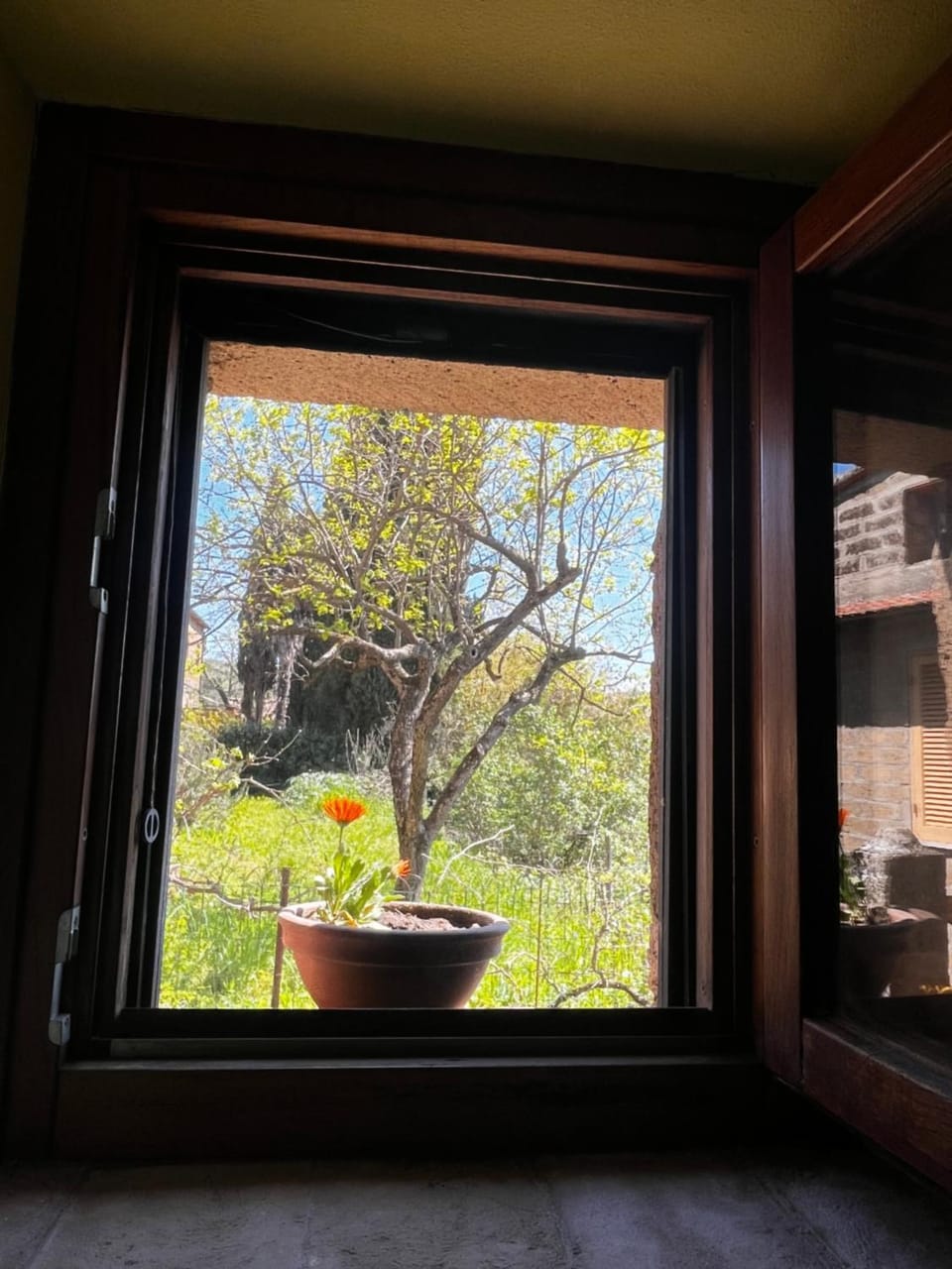 Notti Etrusche a Sovana Bed and Breakfast in Lazio