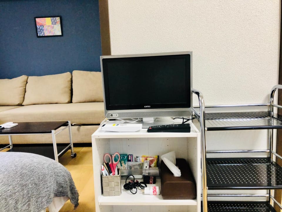 TV and multimedia