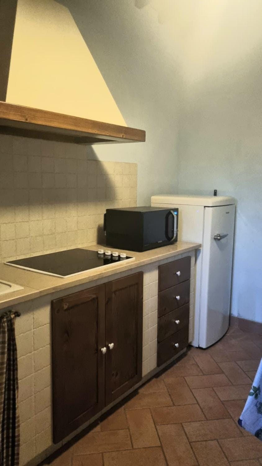 Kitchen or kitchenette, pet friendly