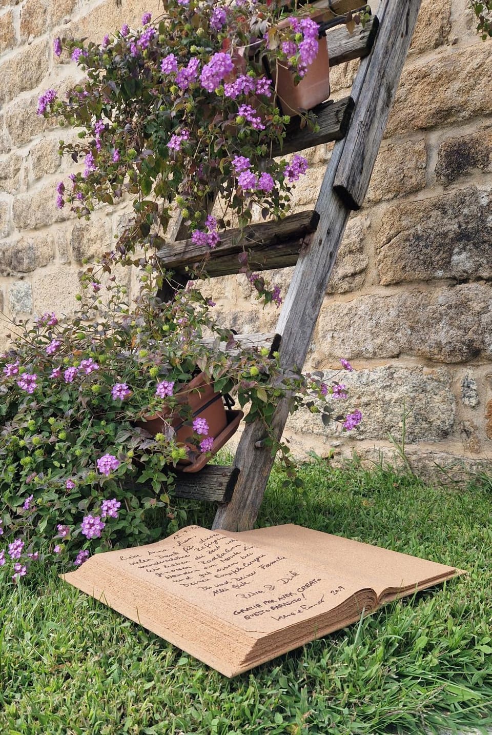 Spring, Day, Garden, Garden view