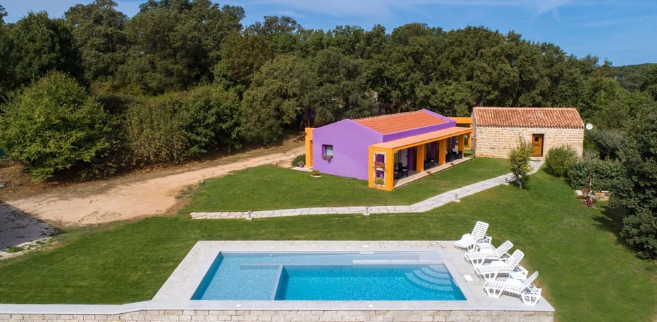Garden, Garden view, Pool view, Swimming pool