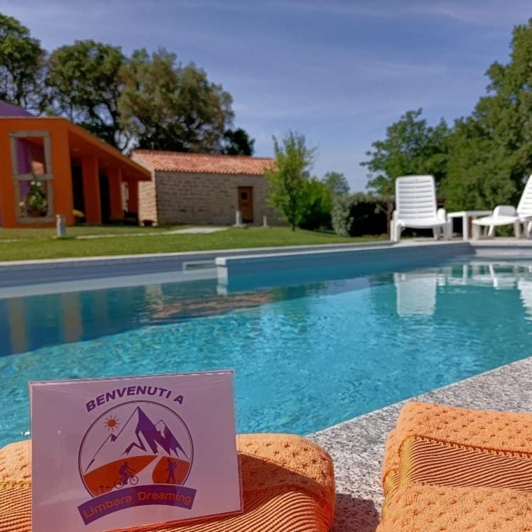 Pool view, Swimming pool, sunbed