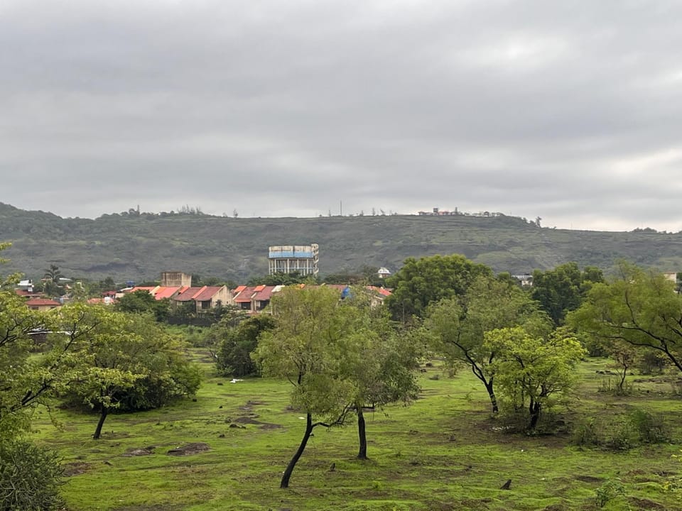 View (from property/room), View (from property/room)