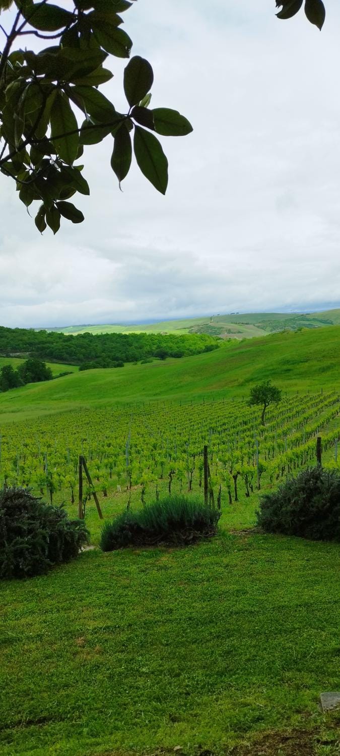 Natural landscape